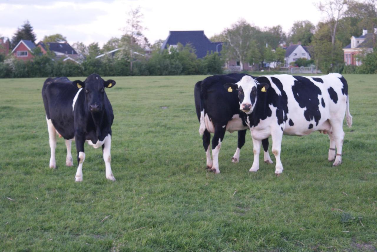Bnb-Heirhuys Visvliet Bagian luar foto